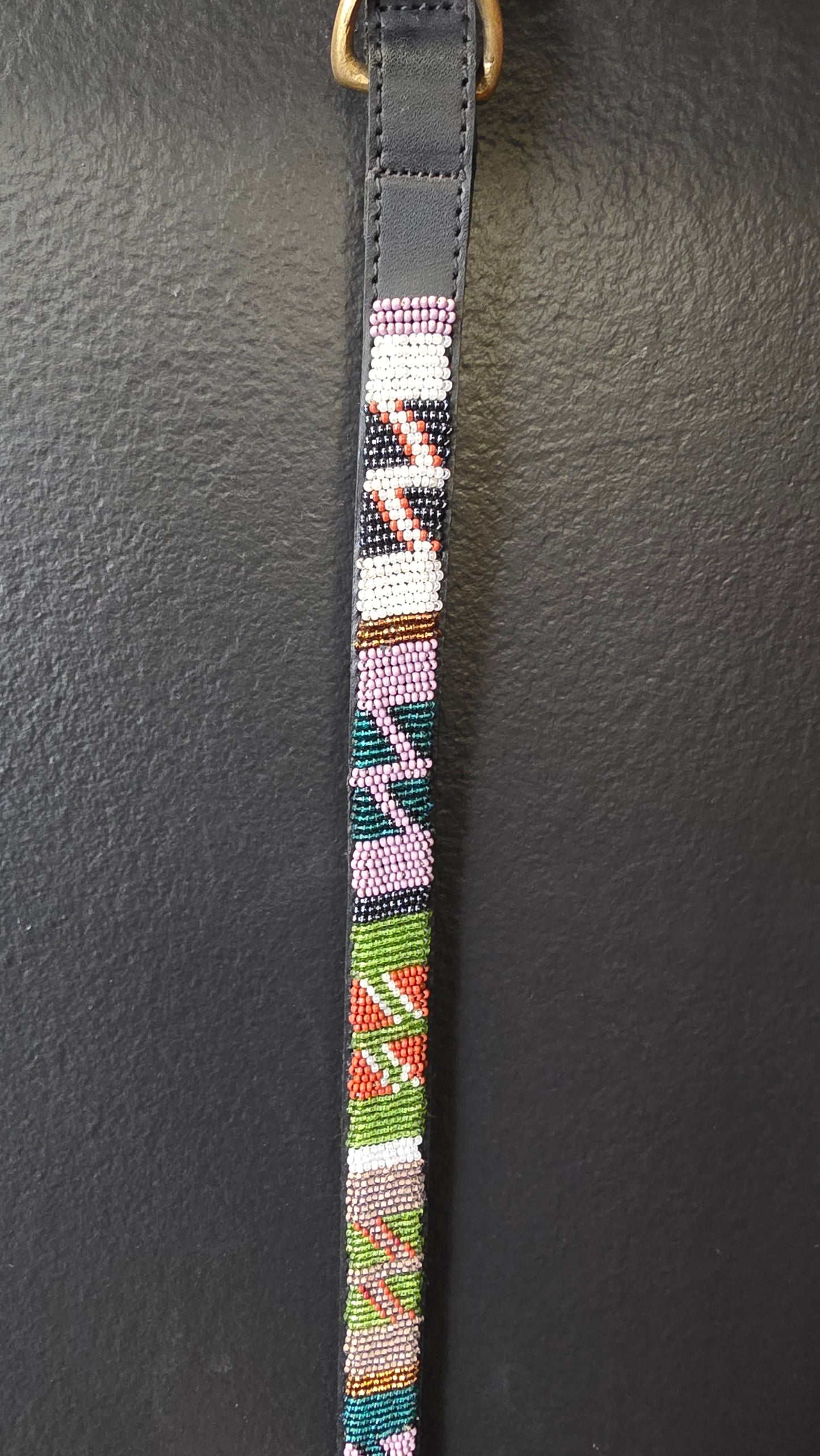 Dog Collar 3/4in