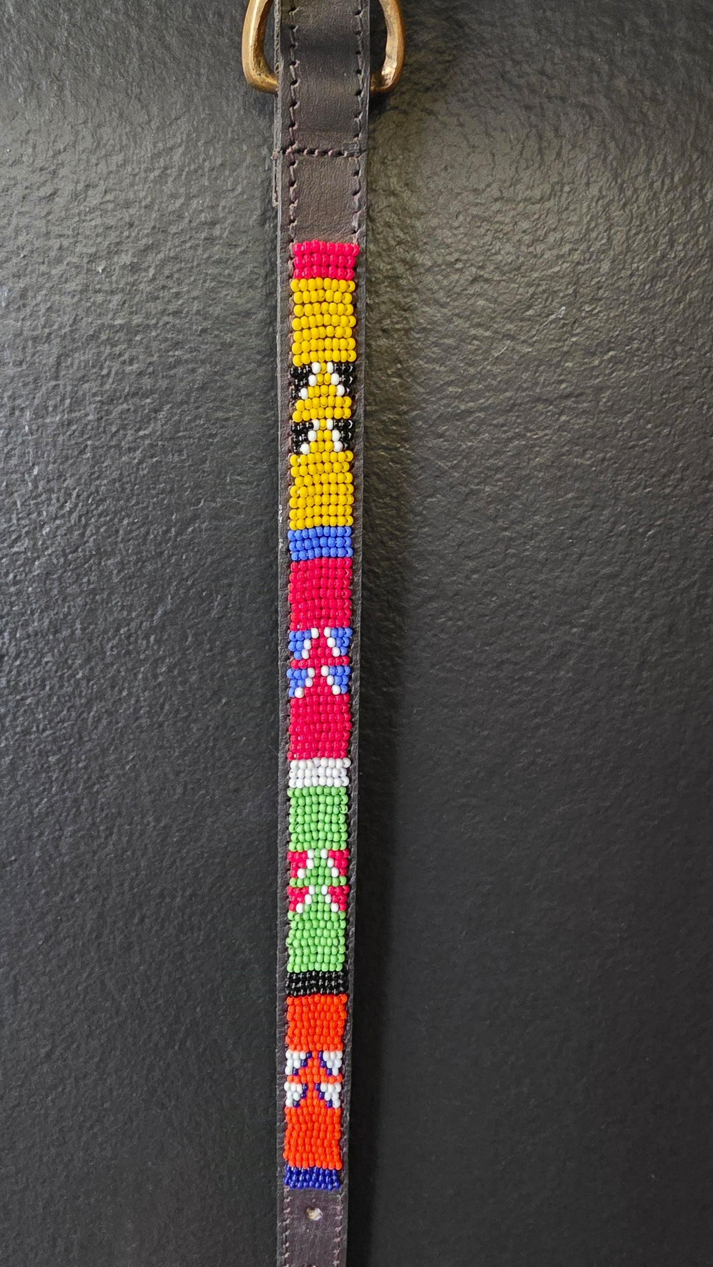 Dog Collar 1/2in