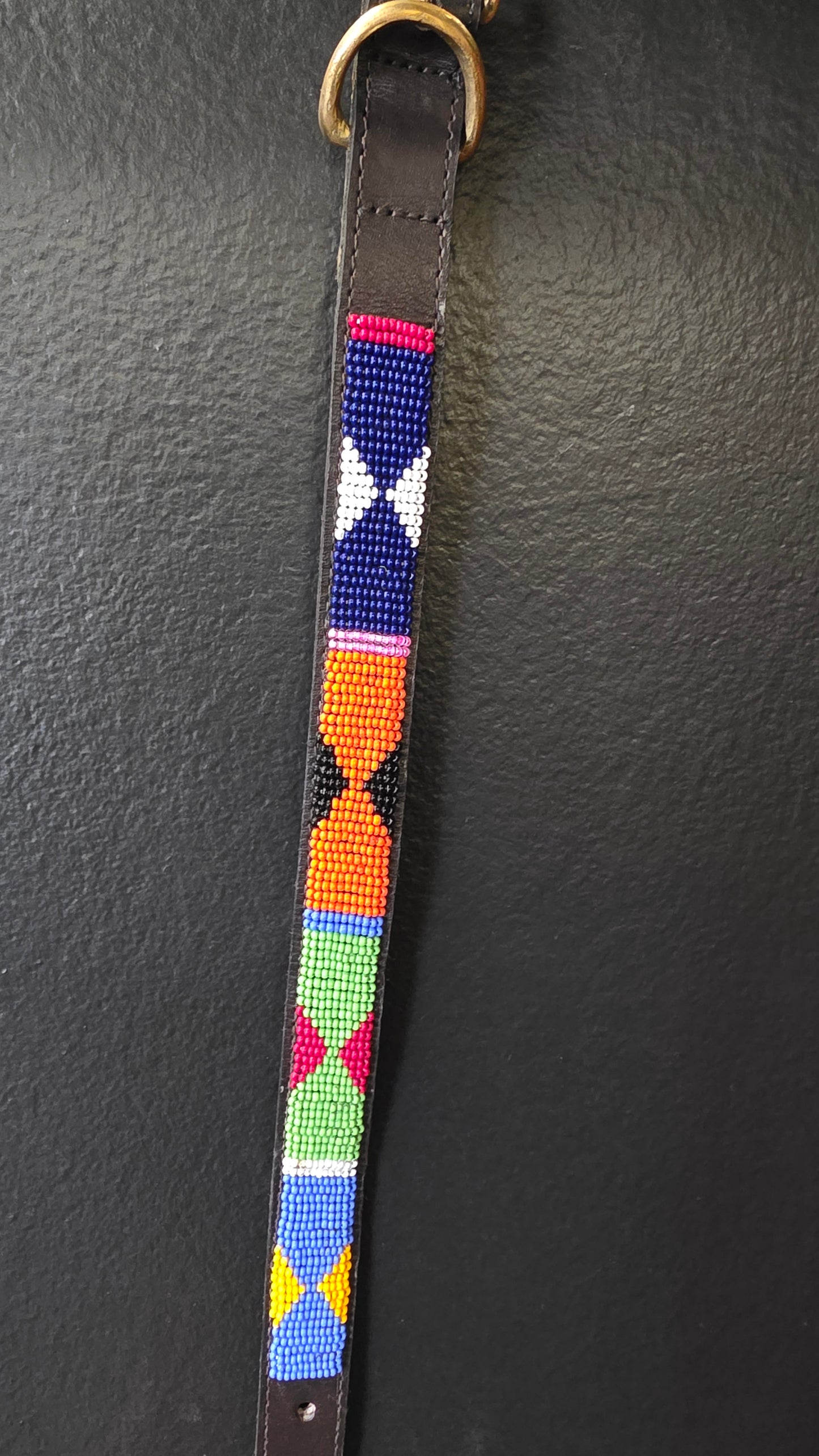 Dog Collar 3/4in
