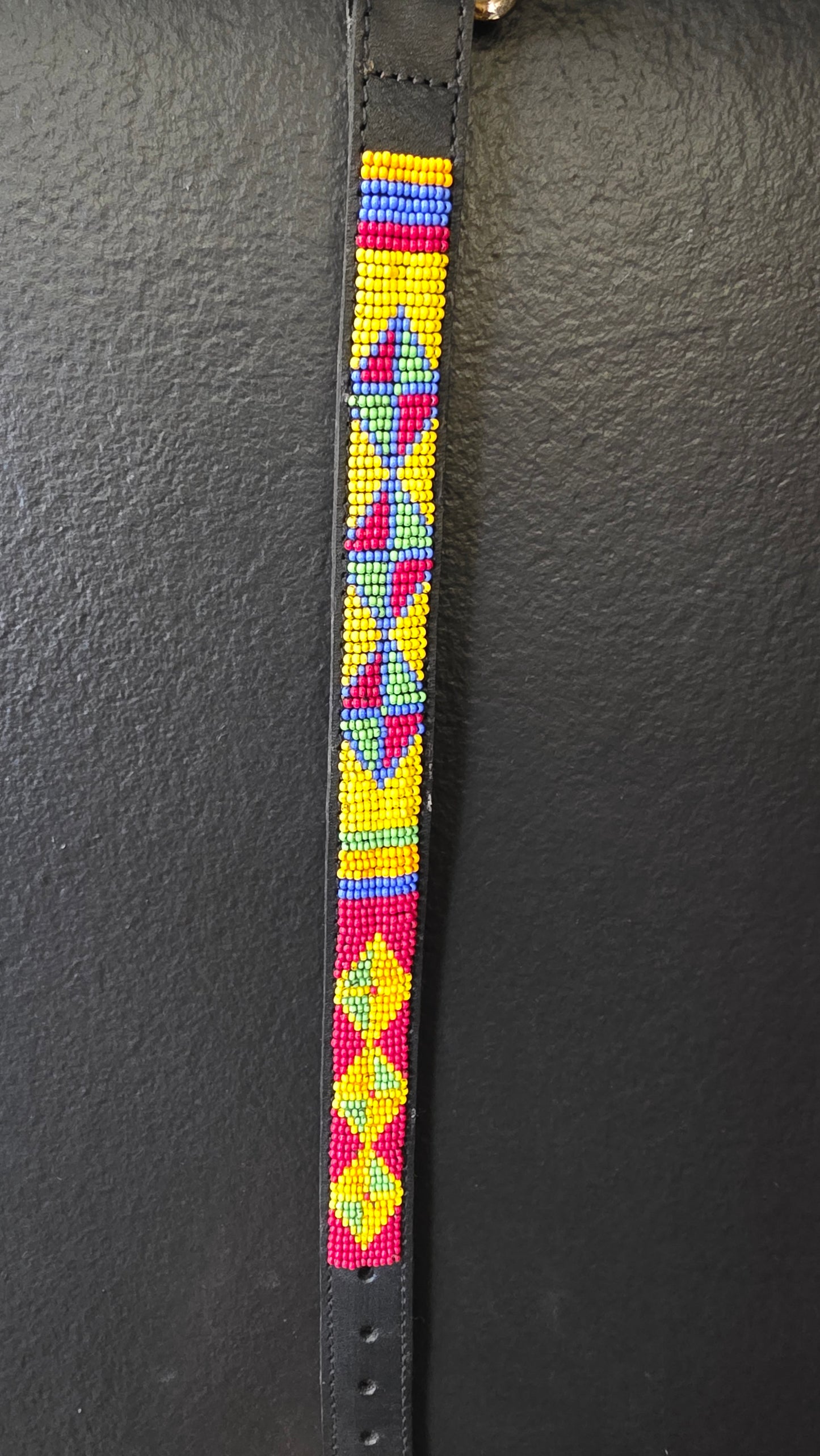 Dog Collar 3/4in