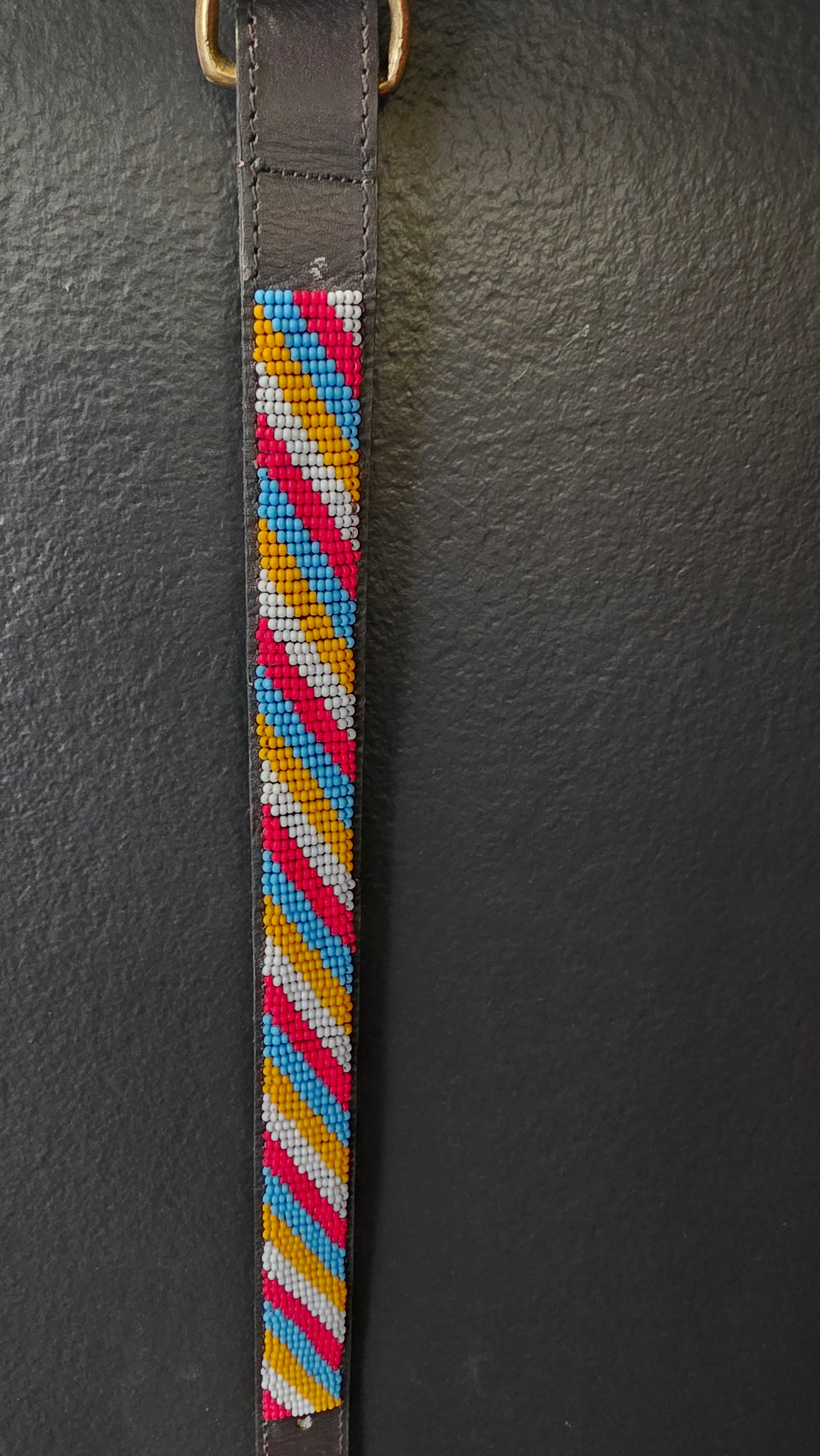 Dog Collar 3/4in