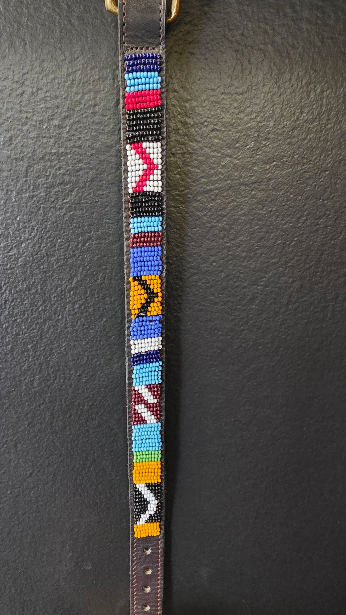 Dog Collar 1/2in